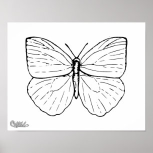 Beautiful Butterfly Poster