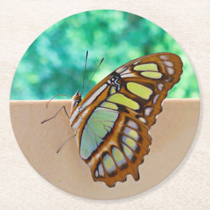 Beautiful Butterfly Pulp Board Coasters