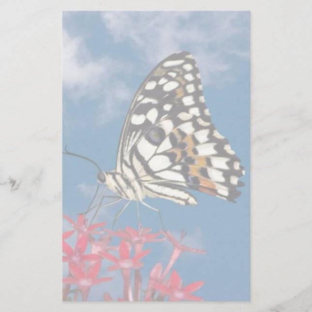 Beautiful Butterfly Stationery (Front)
