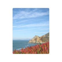 Beautiful California coastline - 