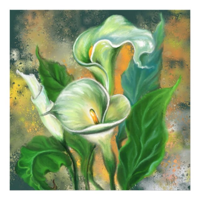 Beautiful Calla Lily Flower - Migned Art Drawing Photo Print (Front)