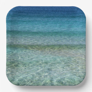 Beautiful Calm Caribbean Sea Paper Plate