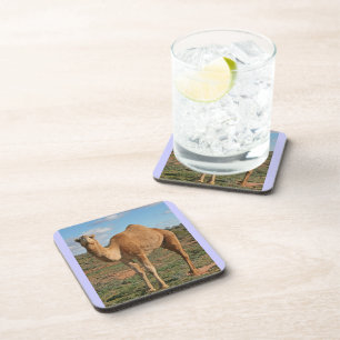 BEAUTIFUL CAMEL COASTER