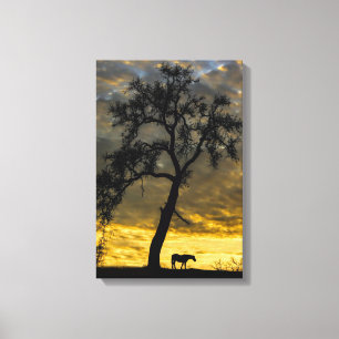 Beautiful Canvas Horse and Oak Tree with Sunrise Print