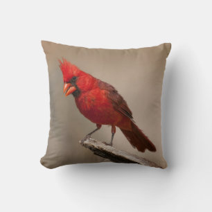 Beautiful Cardinal Throw Pillow