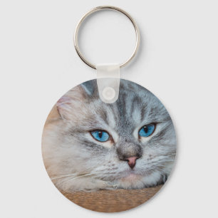 Beautiful cat blue eyes keychain