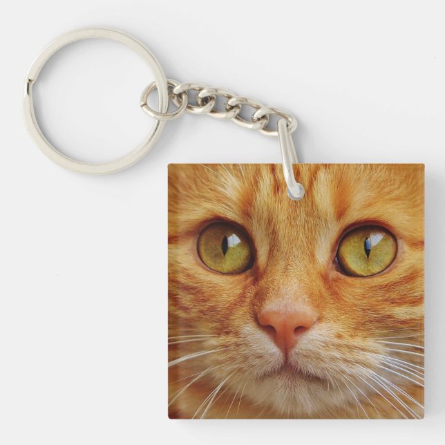 Beautiful cat custom photo keychain (Front)