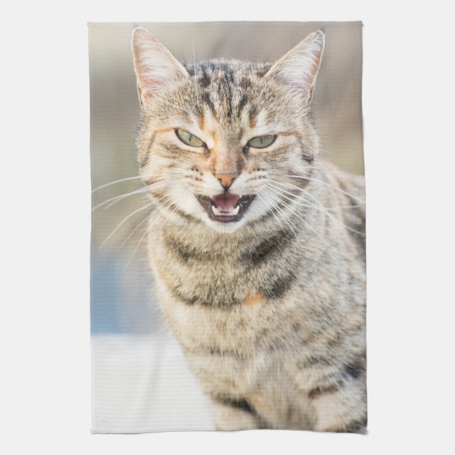 Beautiful cat kitchen towel (Vertical)
