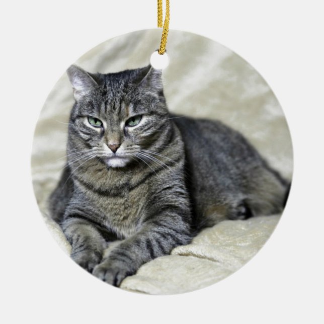 Beautiful Cat Laying Ceramic Ornament (Front)
