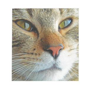 Beautiful Cat Notepad