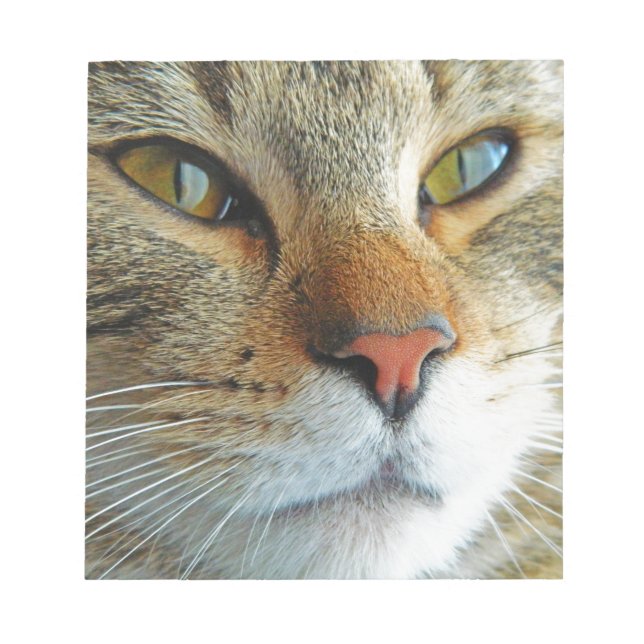 Beautiful Cat Notepad (Front)