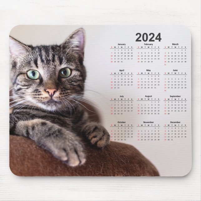 Beautiful Cat Resting 2024 Calendar Mouse Pad (Front)