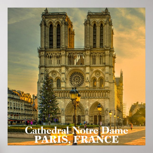 Beautiful Cathedral of Notre Dame Paris France Poster (Front)