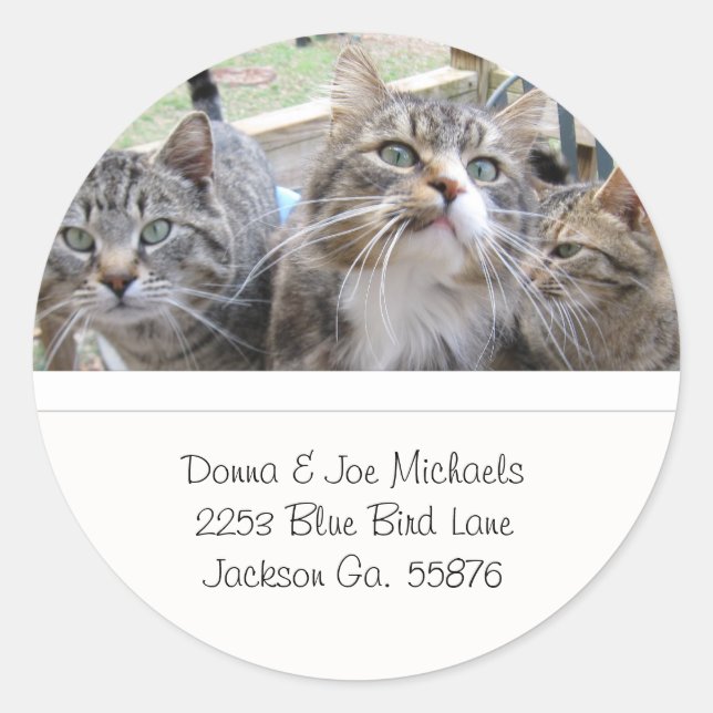 Beautiful Cats Address Labels (Front)