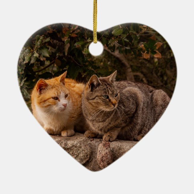 Beautiful Cats, Ornament (Back)