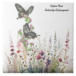 Beautiful Ceylon Rose Hand-painted Butterfly Tile