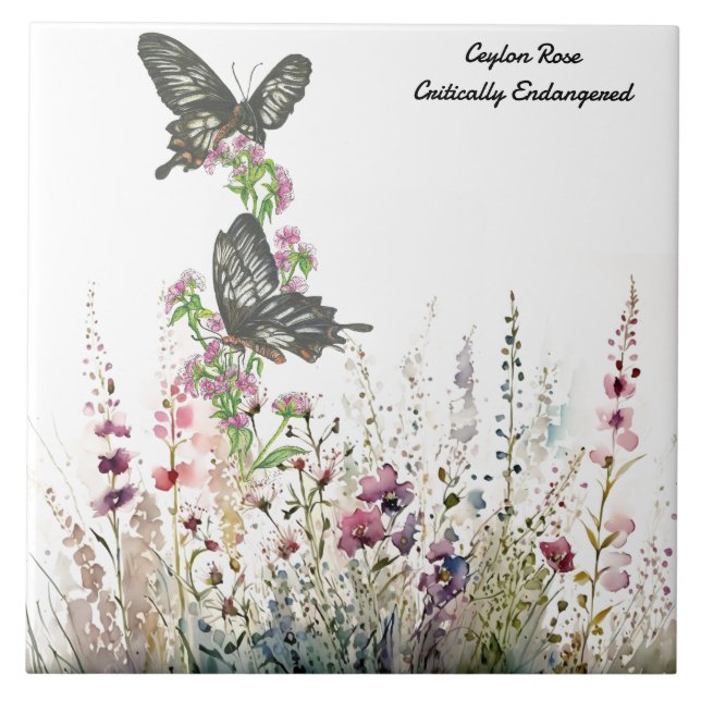 Beautiful Ceylon Rose Hand-painted Butterfly  Tile (Front)