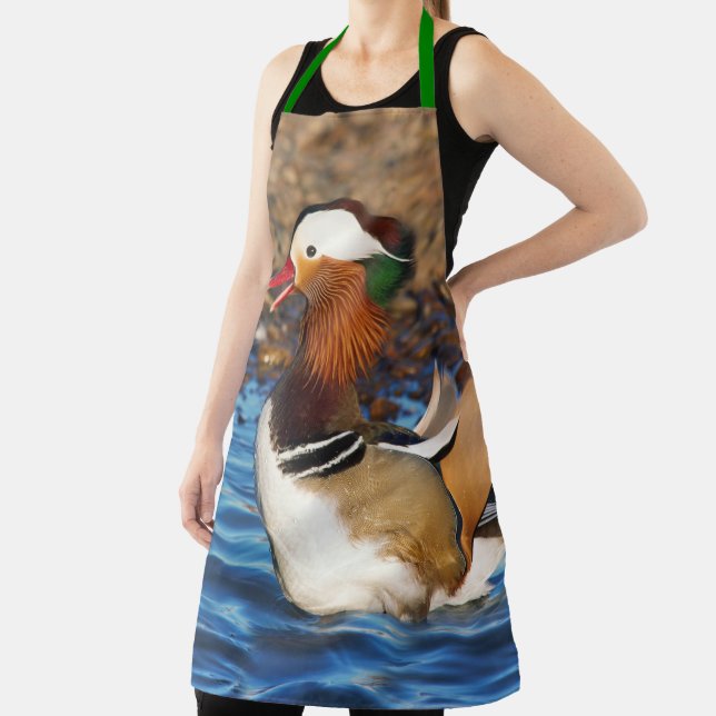 Beautiful Chatty Mandarin Duck at the Pond Apron (Insitu)