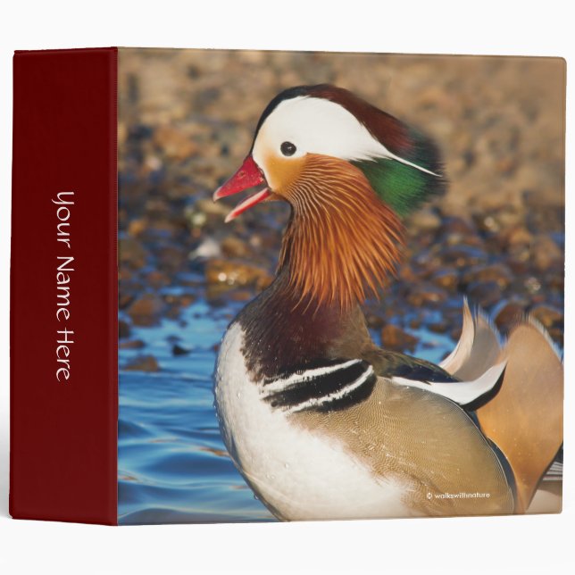 Beautiful Chatty Mandarin Duck at the Pond Binder (Front/Spine)