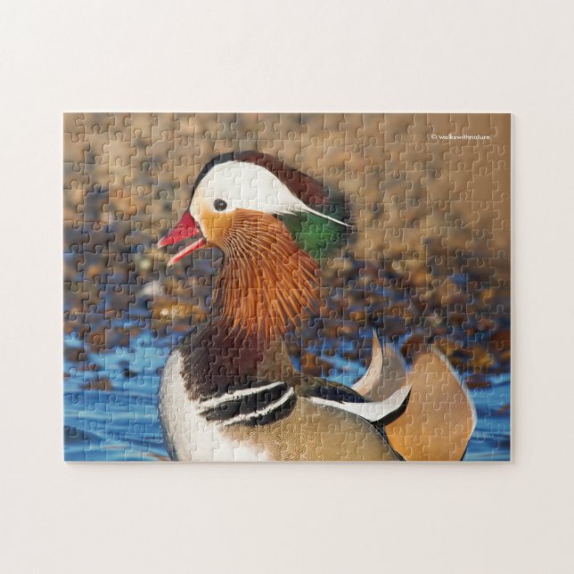 Beautiful Chatty Mandarin Duck at the Pond Jigsaw Puzzle (Horizontal)