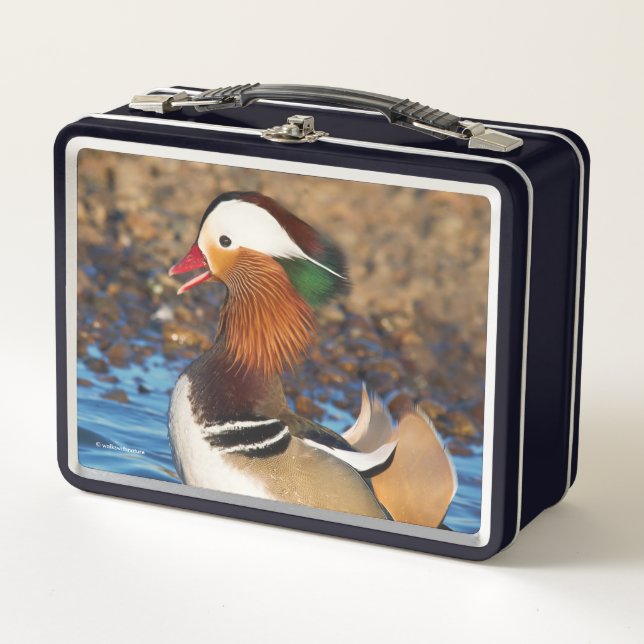 Beautiful Chatty Mandarin Duck at the Pond Metal Lunch Box (Front)