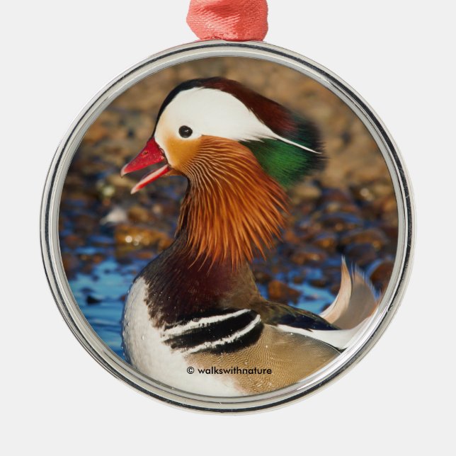 Beautiful Chatty Mandarin Duck at the Pond Metal Ornament (Front)