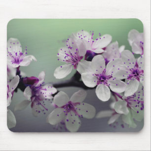 Beautiful Cherry Blossom Mouse Pad