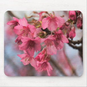 Beautiful Cherry Blossoms Mouse Pad