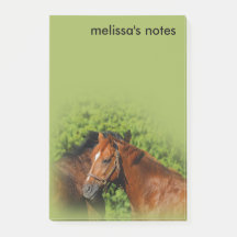 Beautiful Chestnut Horses in the Summer Sun
