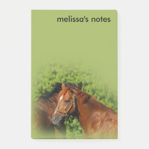 Beautiful Chestnut Horses in the Summer Sun Post-it Notes