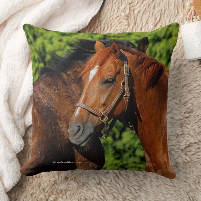 Beautiful Chestnut Horses in the Summer Sun Throw Pillow (Blanket)