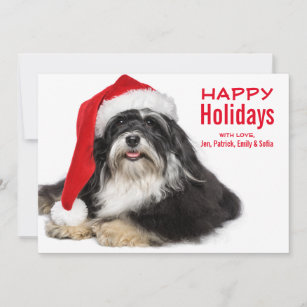 Beautiful Christmas Havanese Dog With Santa Hat Holiday Card