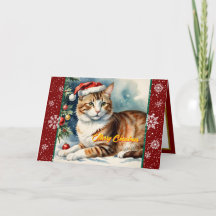 Beautiful Christmas Holiday Modern Collection