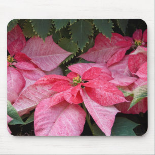 Beautiful Christmas Poinsettia Photo Mouse Pad
