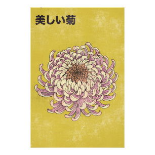 Beautiful Chrysanthemum Photo Print