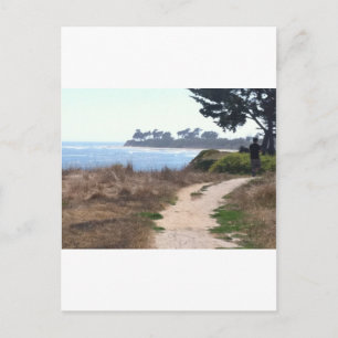 Beautiful Clear Sky at the Beach. Postcard