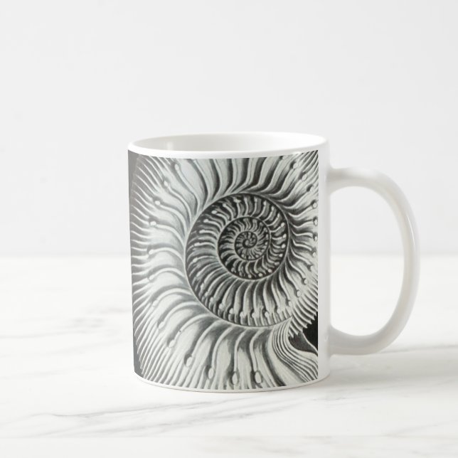 Beautiful close up ammonite picture design coffee mug (Right)