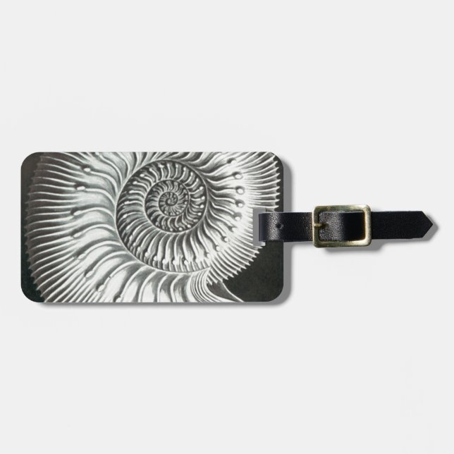 Beautiful close up ammonite picture design luggage tag (Front Horizontal)