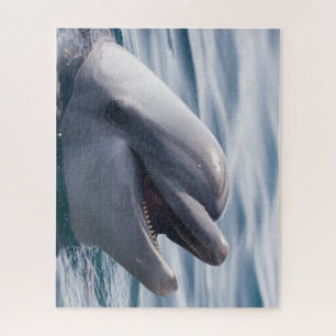 Beautiful Close-Up of a Dolphin Jigsaw Puzzle