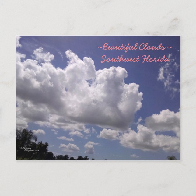 Beautiful clouds SW Florida Postcard (Front)