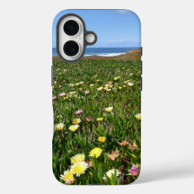 Beautiful Coastal Flowers / Ocean View photo