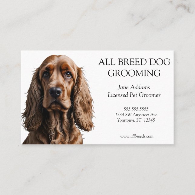 Beautiful Cocker Spaniel Dog Grooming Pet Services Business Card (Front)