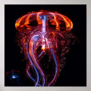 Beautiful colored jelly fish poster