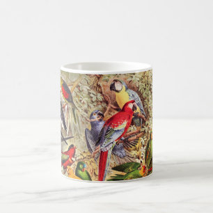 Beautiful Colorful Tropical Birds Parrots  Coffee Mug