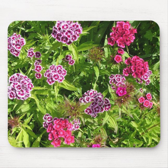 beautiful colour flowers, carnation mouse pad (Front)