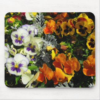 beautiful colour flowers mouse pad