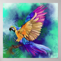 Beautiful Colour Parrot Poster