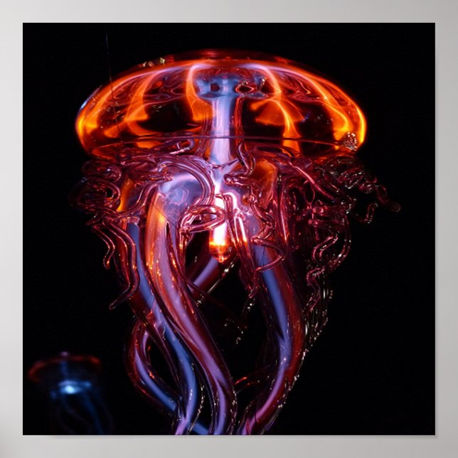Beautiful coloured jelly fish poster (Front)