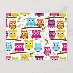 Beautiful Colourful Custom Owl Postcard
