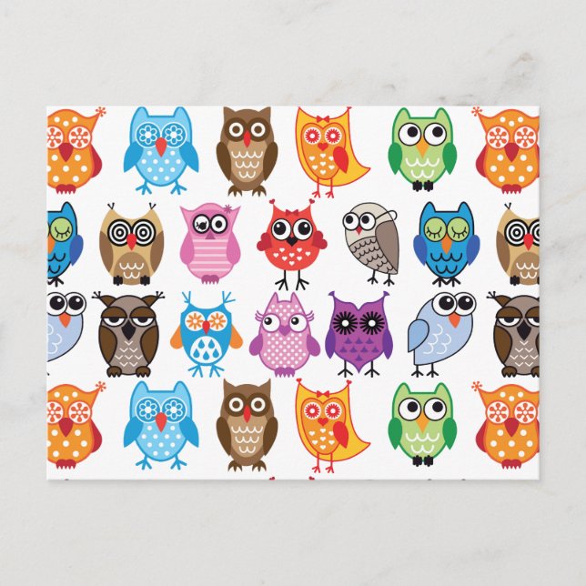 Beautiful Colourful Custom Owl Postcard (Front)